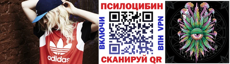 где продают   Ливны  Псилоцибиновые грибы Psilocybe 