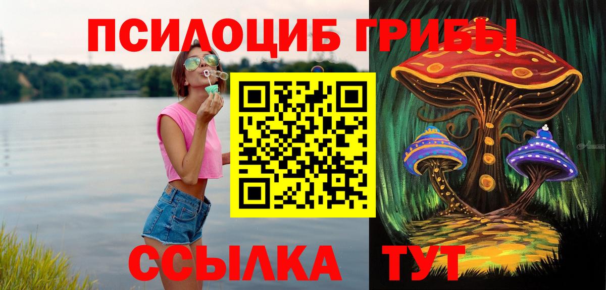 Ливны  Псилоцибиновые грибы GOLDEN TEACHER  Вход с VPN  Псилоцибиновые грибы Psilocybine cubensis 